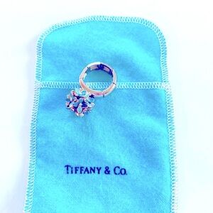 Tiffany & Co. Felt Pouch with a cute ring included